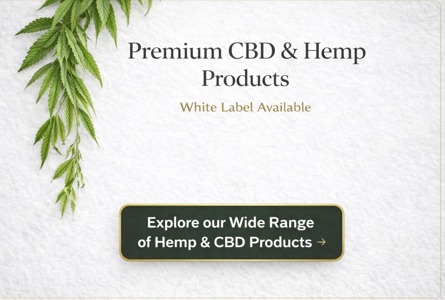 Hempstash Full CBD Catalogue Hempstash Full CBD Catalogue